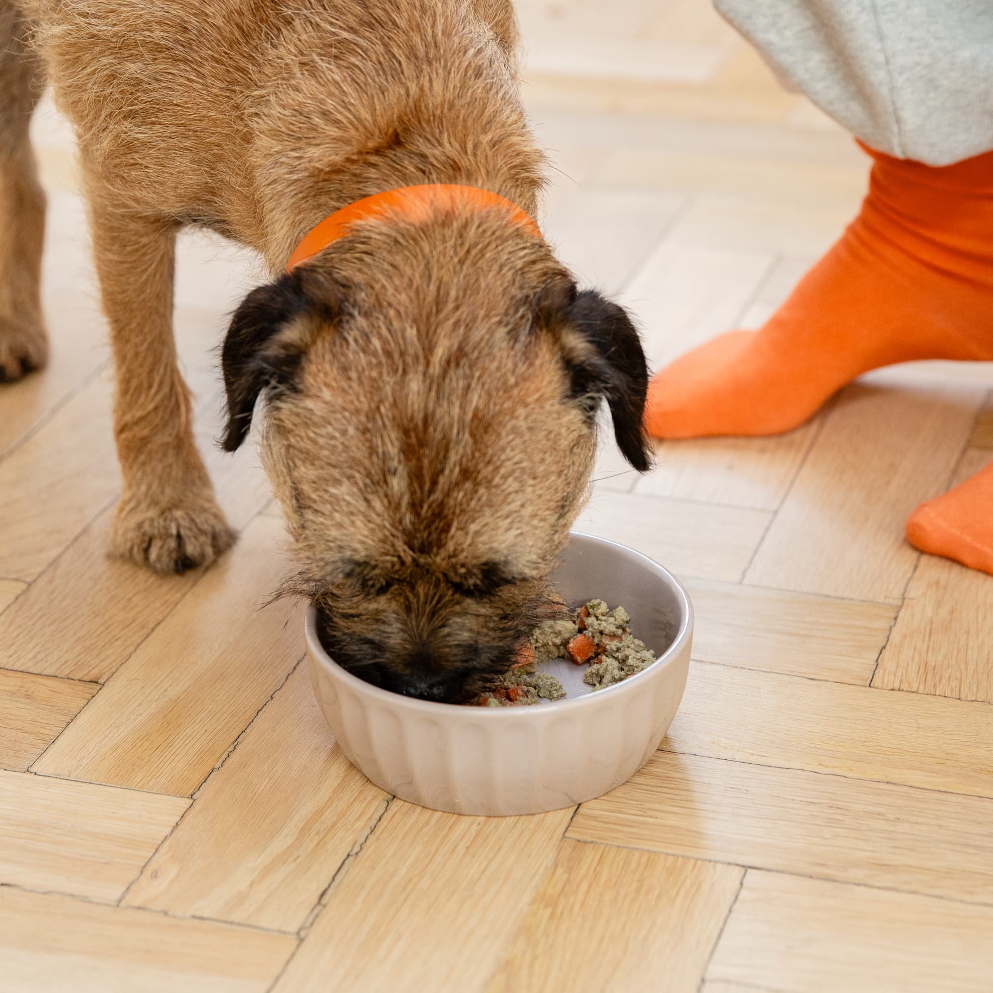 No bowl left full - The Difference