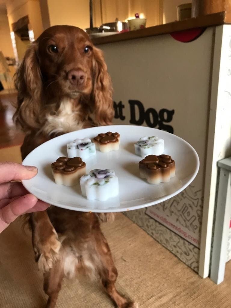 Home-made healthy dog treat recipes
