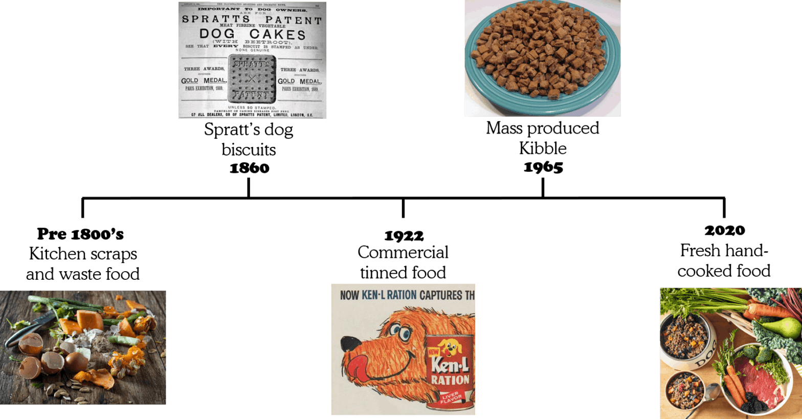 How has dog food changed?