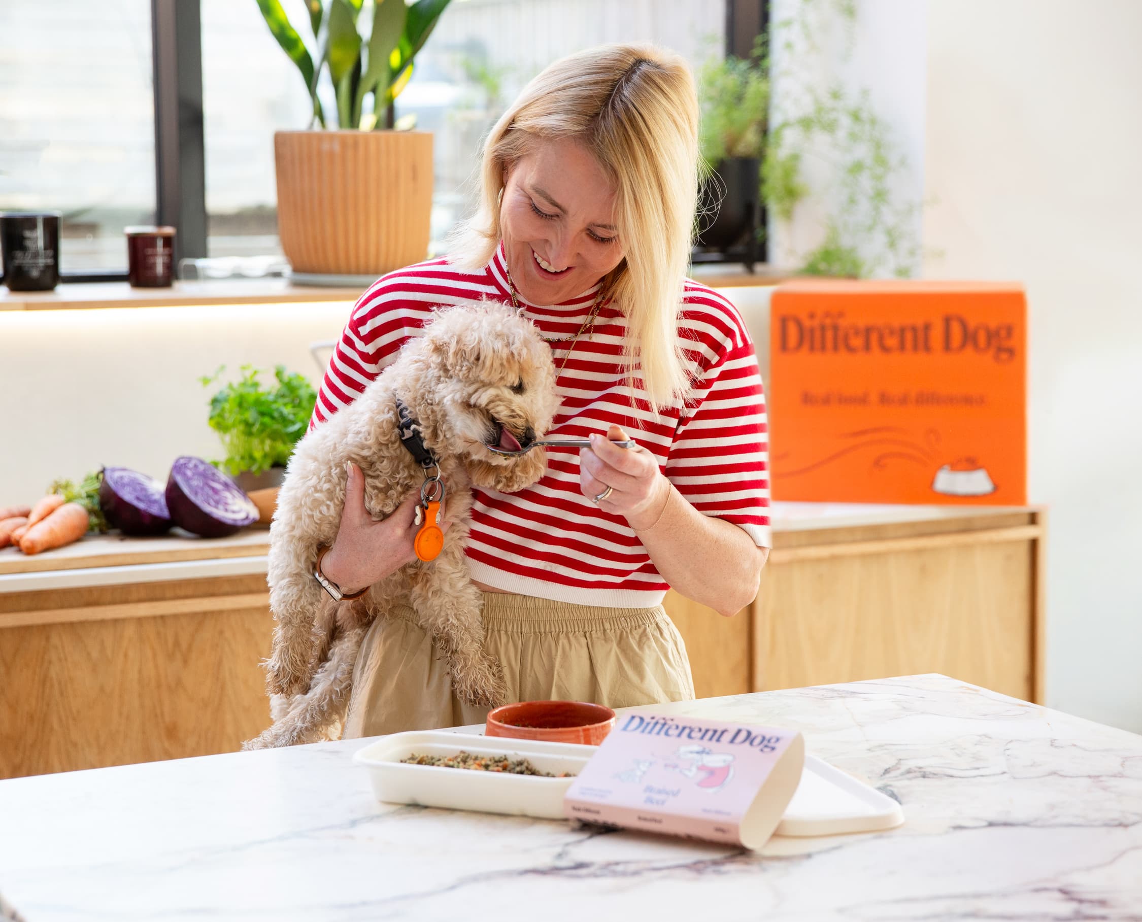 Cute dog eating the best fresh dog food