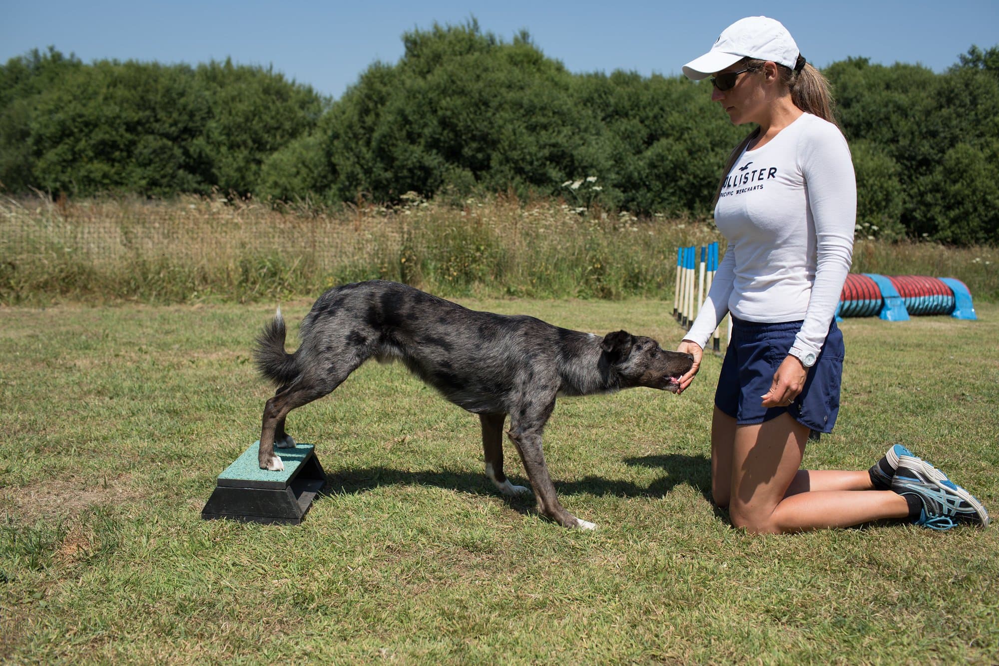 Bonny and her Labrador, Tully as they participate in their first agility class.