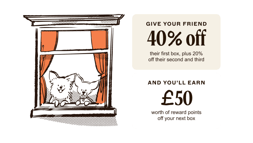 Refer a friend illustration hero v2