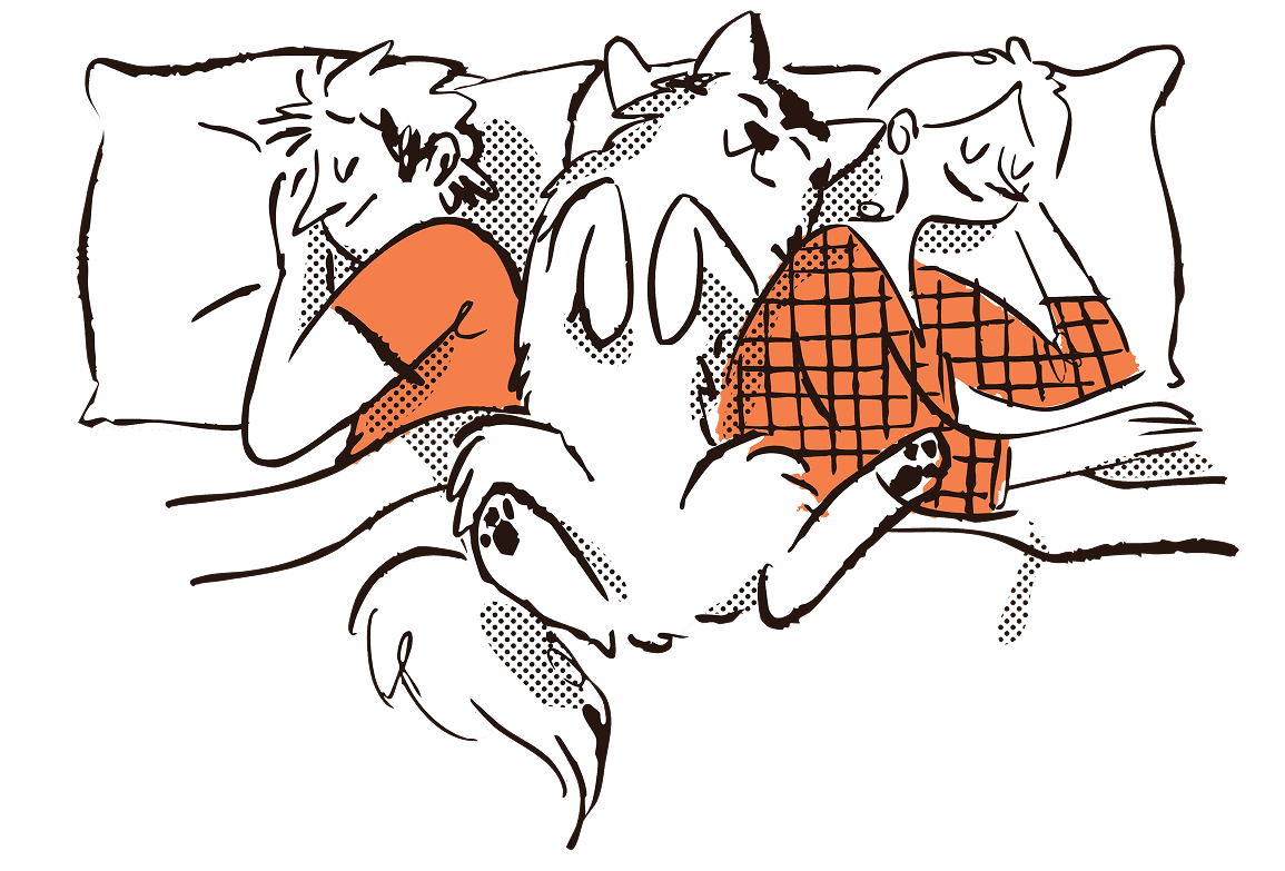 faq illustration as image