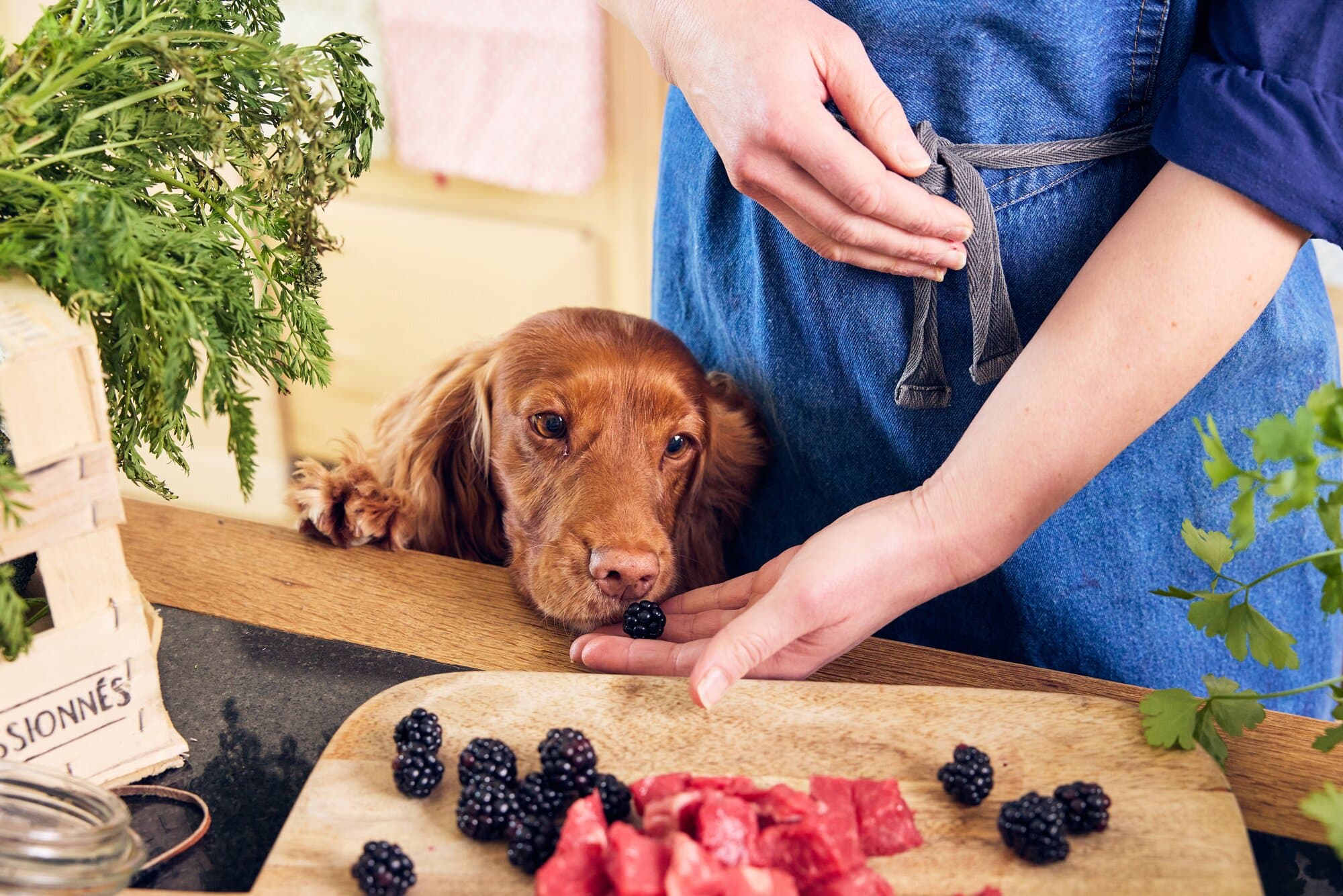 Recipe Updates